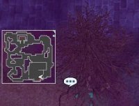GeffenDun Tree2.jpg