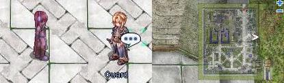 Guard1.jpg