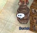 Bucket.jpg