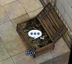 Box.jpg